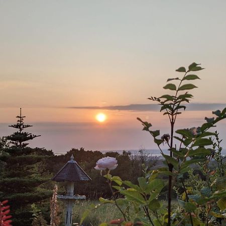 Hafoty Farm Cottages Карнарфон Екстериор снимка